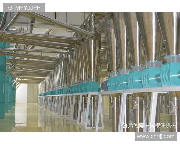 大米种植技术创新与发展趋势分析探讨农业现代化进程中的关键角色