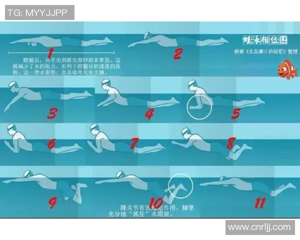 蛙泳基本动作解析与技巧提升方法探讨 蛙泳基本动作解析与技巧提升方法探讨